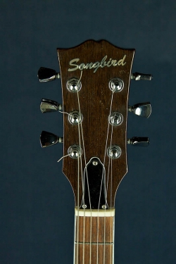 Songbird SG