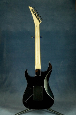 Zep-II Custom