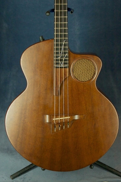 Taylor Acoustic Bass