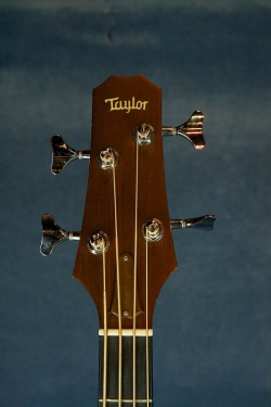 Taylor Acoustic Bass