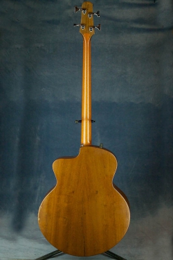 Taylor Acoustic Bass