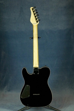 Schecter PT