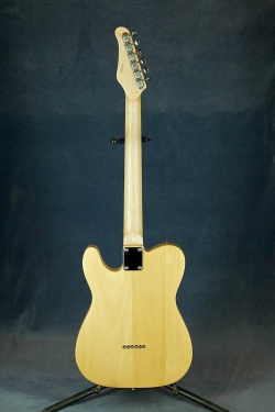 Jay Turser Thinline Telecaster