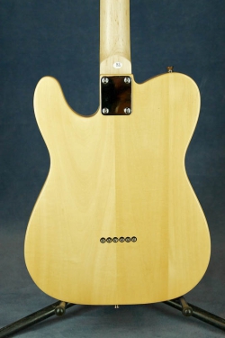 Jay Turser Thinline Telecaster