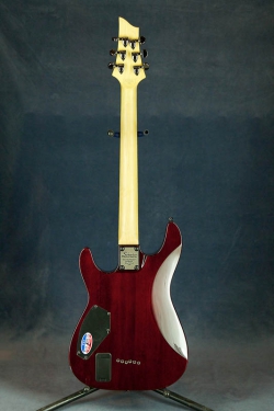 Schecter Damien Elite 6