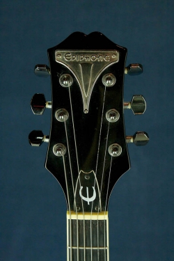 Epiphone WildCat