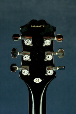 Epiphone WildCat