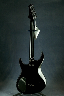 Washburn RX12