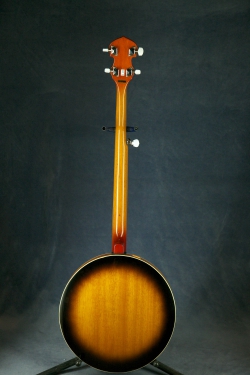 Washburn B9 Banjo