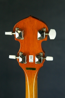 Washburn B9 Banjo