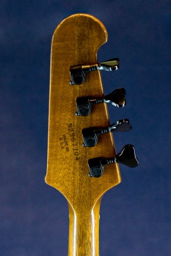 Gibson Thunderbird