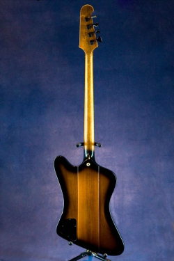 Gibson Thunderbird