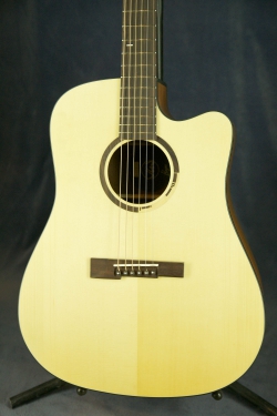 Visions in Guitars B-10CESN