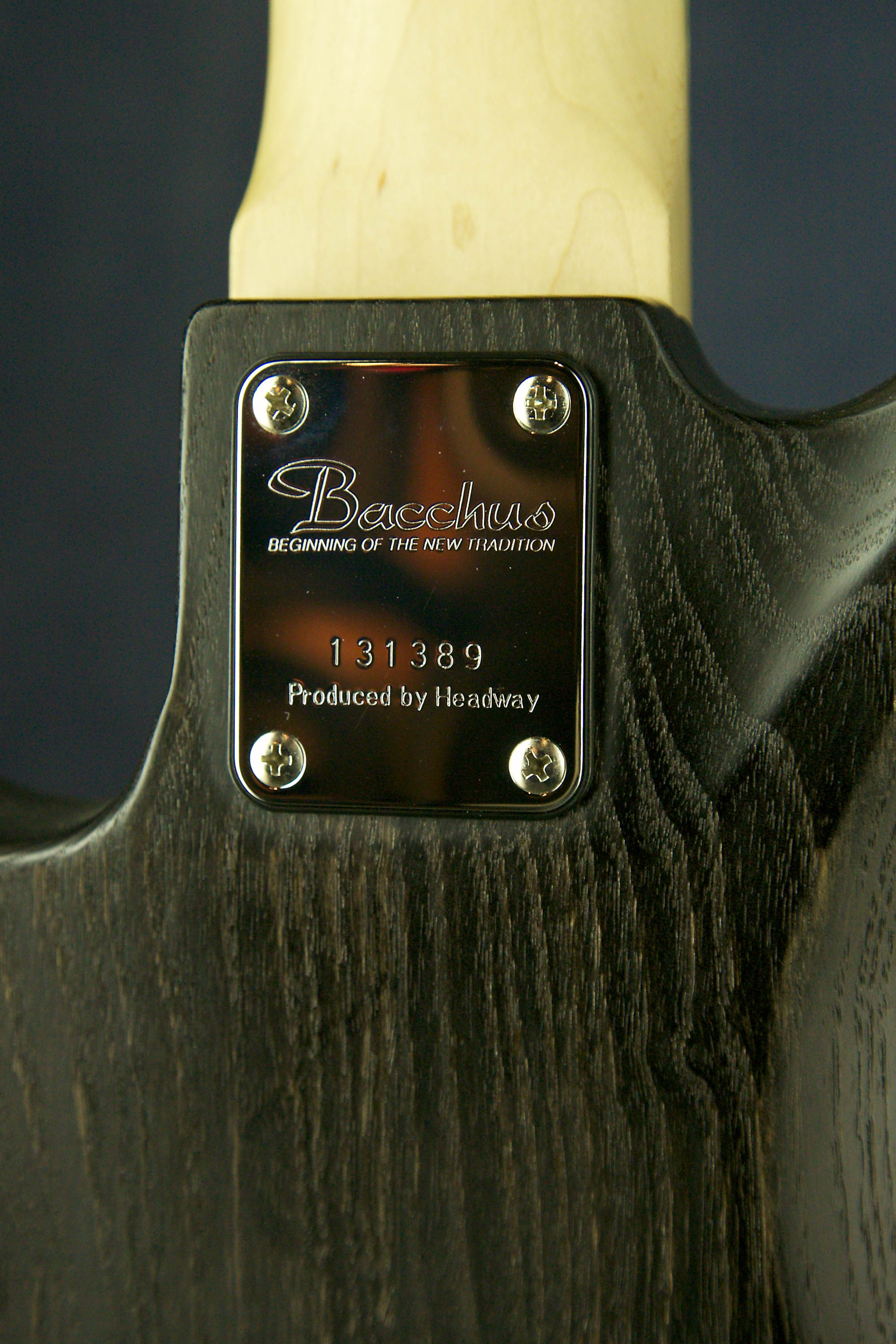 Купить Bacchus Handmade 5-string Bass